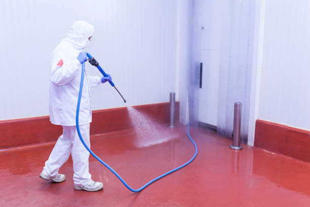 Best Pre-Holiday Cleaning  in Freeport, TX