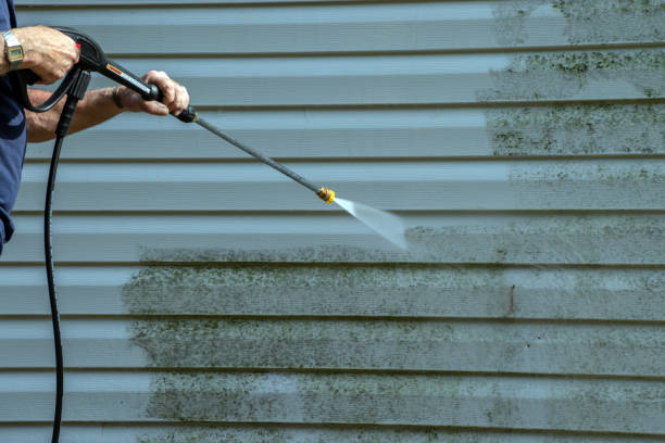 Best Solar Panel Cleaning  in Freeport, TX